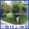 DM Galvanized Chain Link Fence